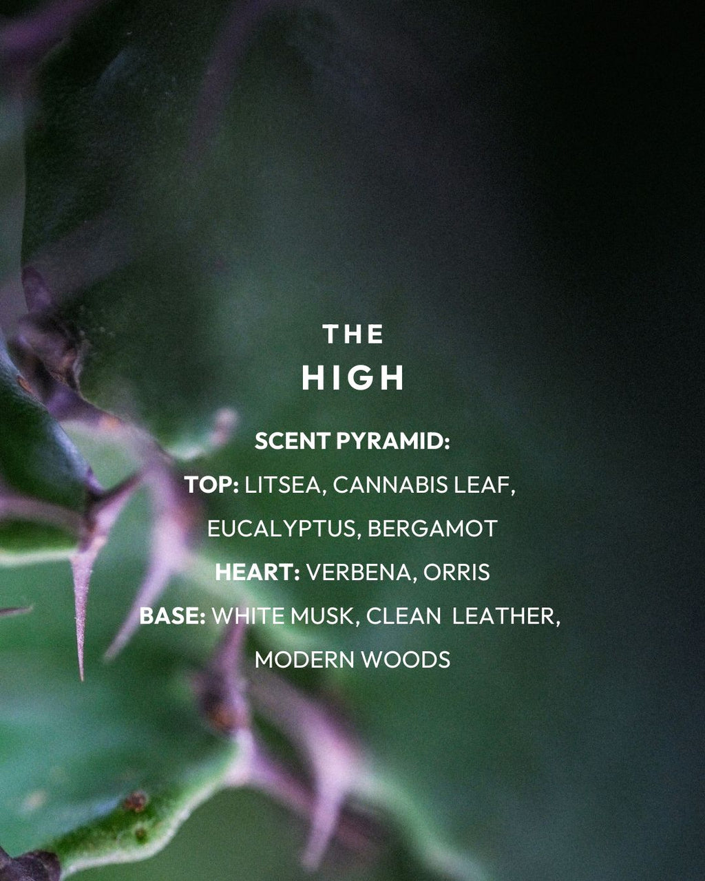 NEH The High doftnoter