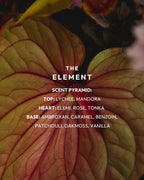NEH The Element doftnoter
