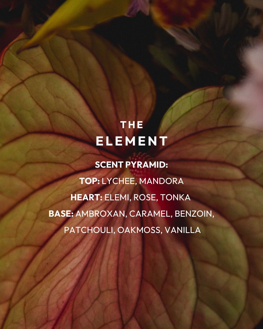 NEH The Element doftnoter