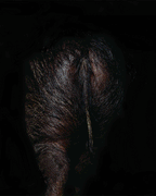 Orto Parisi Stercus, produktbild 4