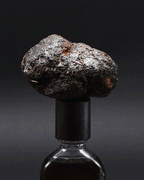 Orto Parisi Stercus, produktbild 3