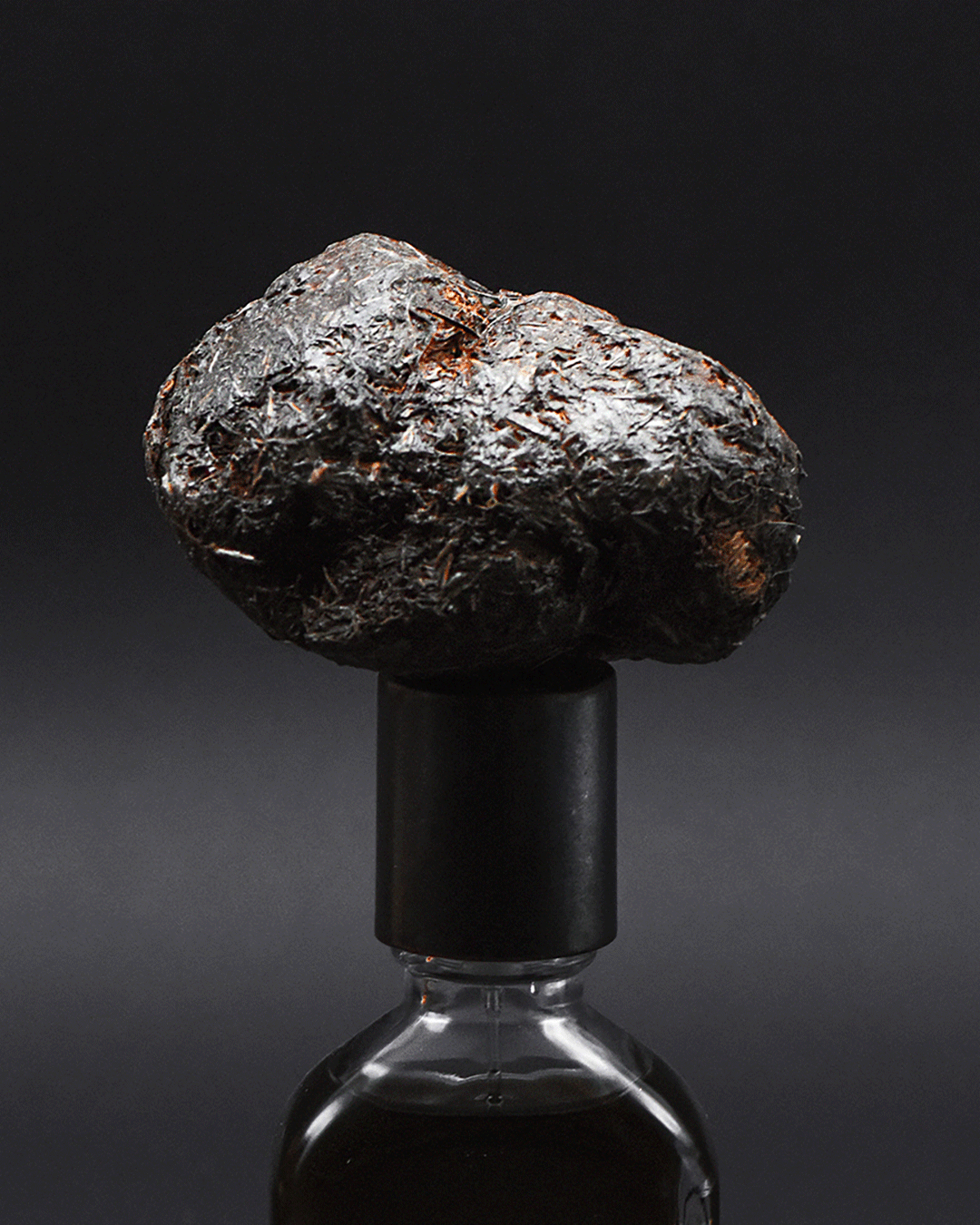 Orto Parisi Stercus, produktbild 3