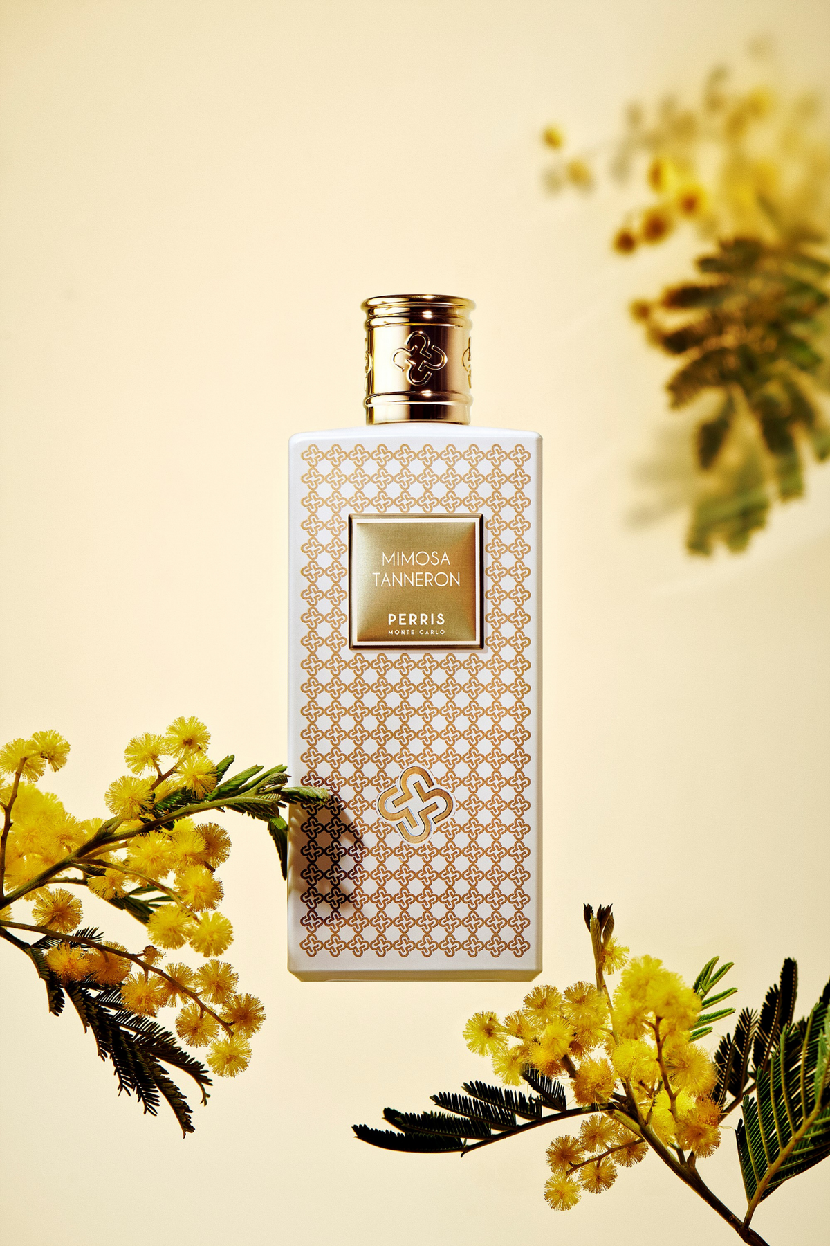 Perris Monte Carlo Mimosa Tanneron, produktbild
