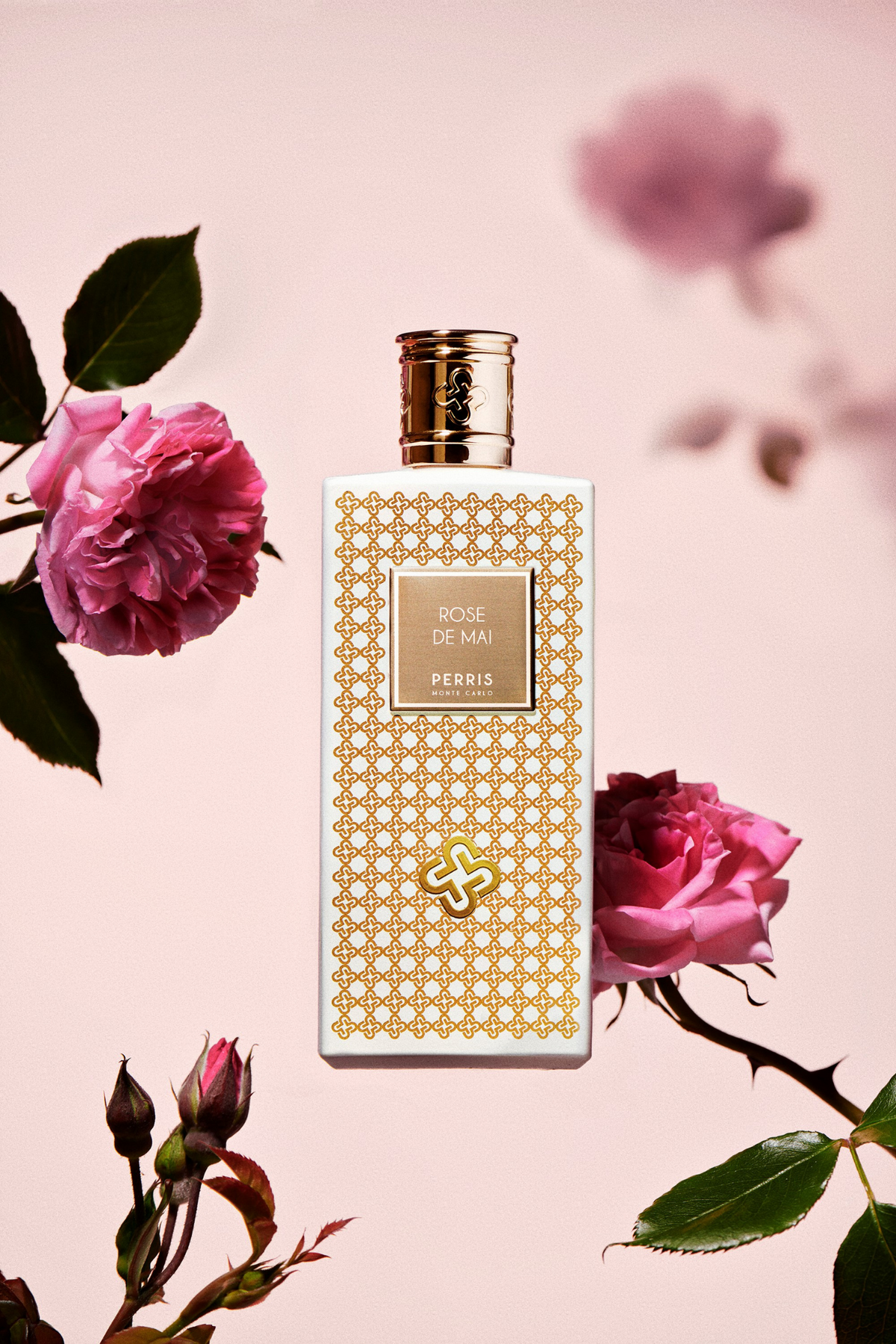 Perris Monte Carlo Rose de Mai, produktbild